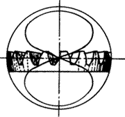 �X݆�����g(sh��)�Z(y��)�F�X݆����(zh��n)�p�����X݆�����X݆��