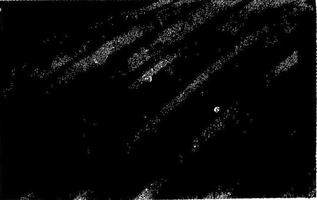 �Ɖ����c(di��n)�g