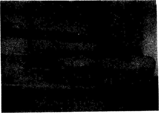 �S�C(j��)����