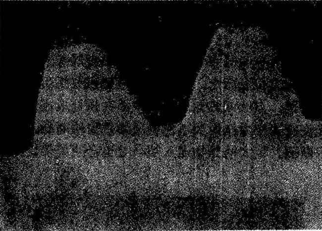  �S�C(j��)����