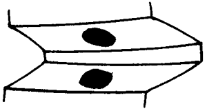 �F�X݆�͜�(zh��n)�p�����X݆�g(sh��)�Z�ӹ�������݆�X���|���z���ԇ�