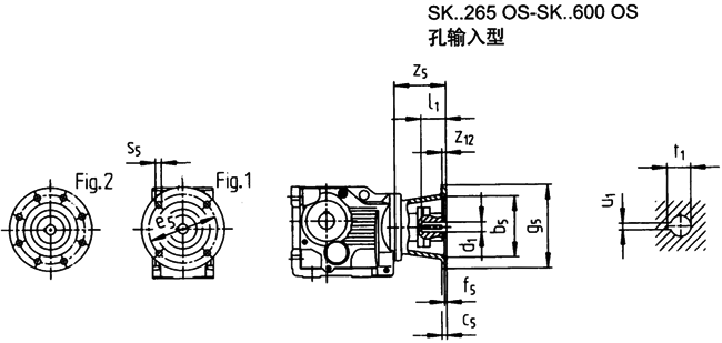SK系列斜齒輪—蝸旋傘齒輪減速電機(jī)