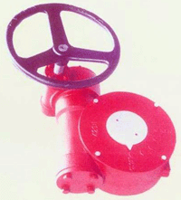 XJϵ���y�T�p�������g����(sh��)